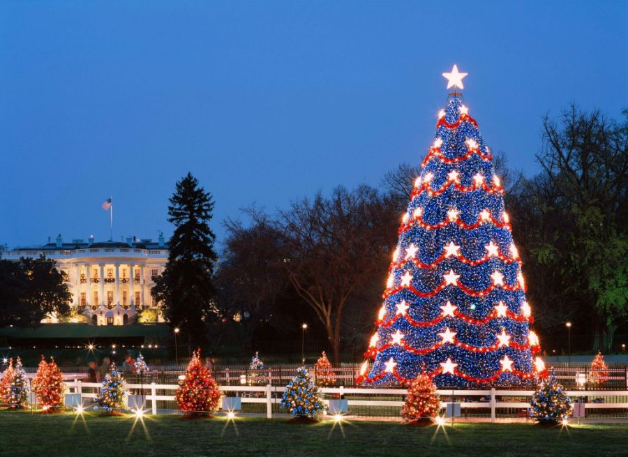 Christmas tree in DC